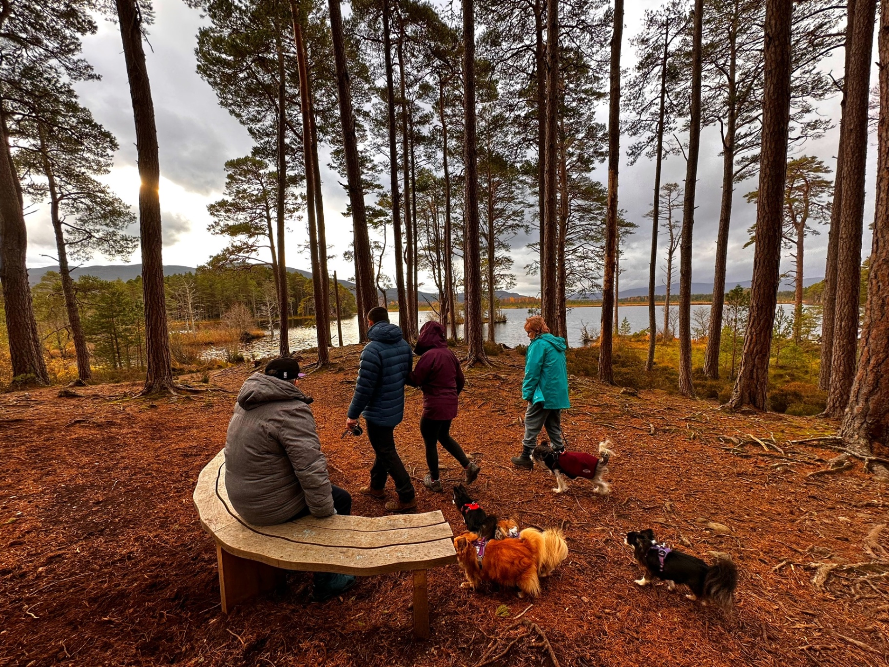 Hyland residents and staff enjoying a walk by a forest lake