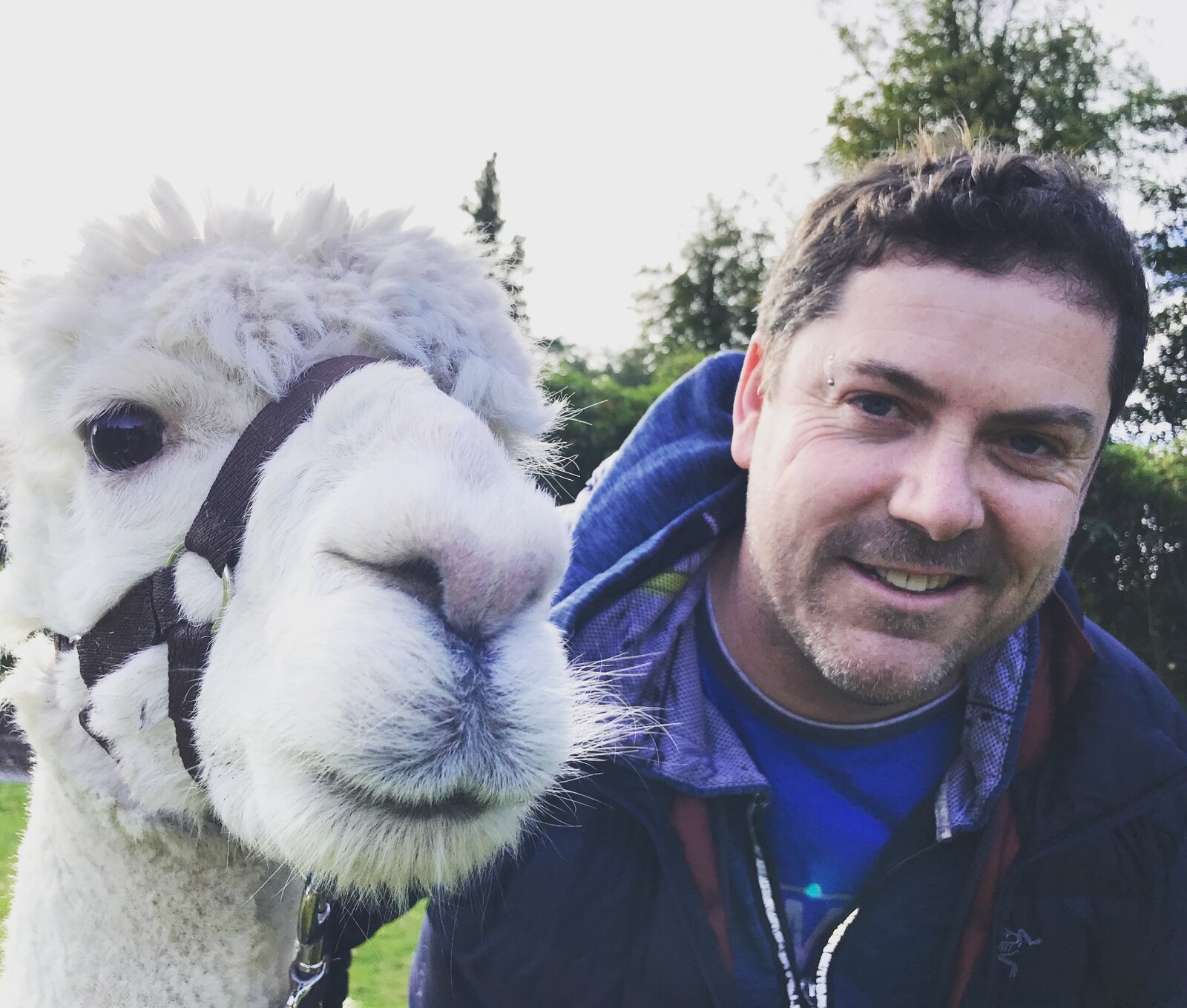 A staff member meeting an alpaca on an outing