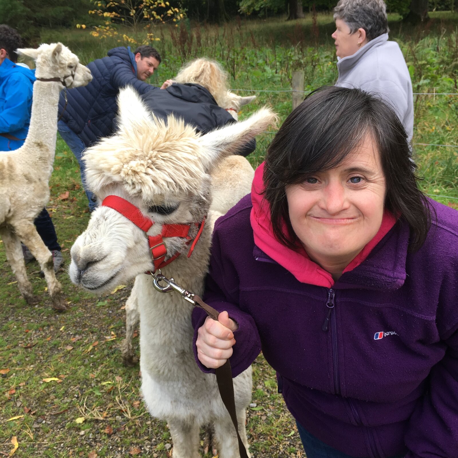 A resident meeting an alpaca on an outing