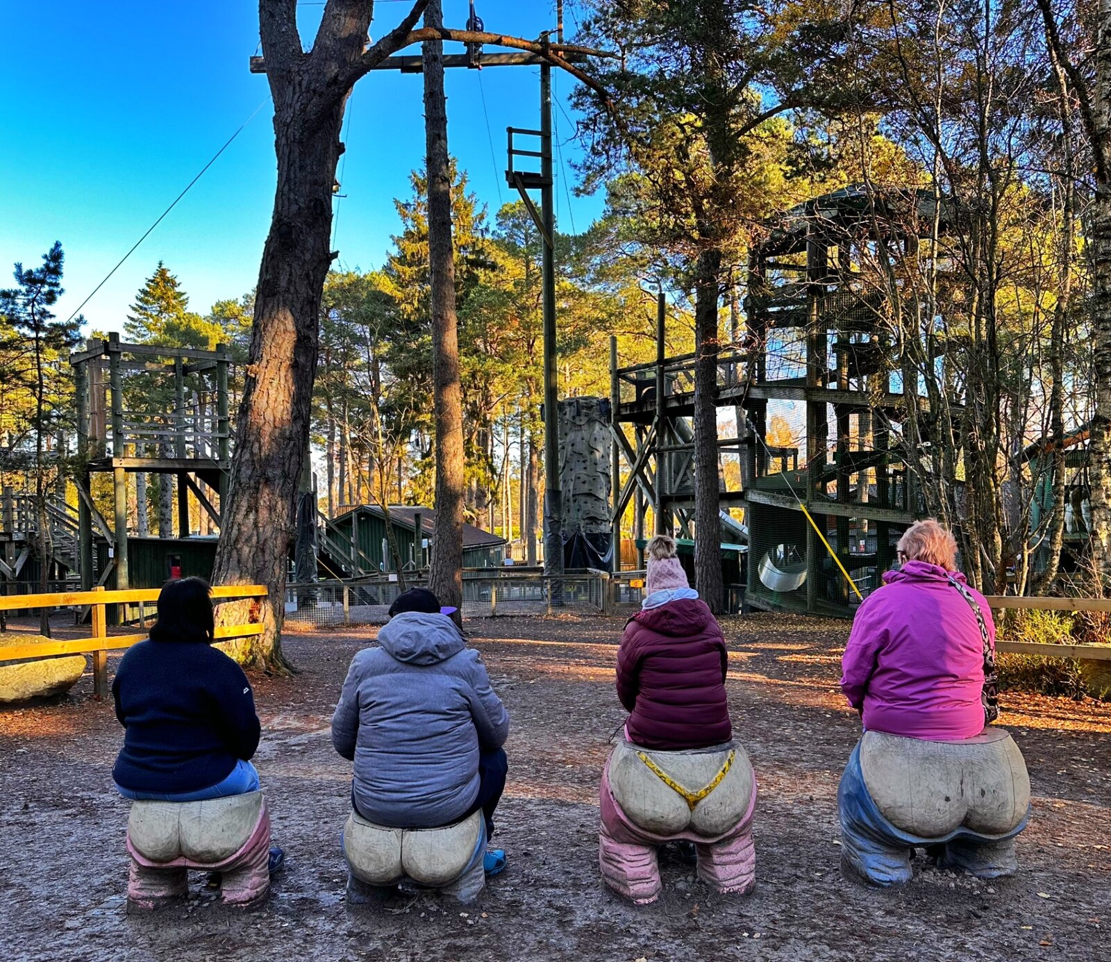 Residents enjoying a woodland adventure park together