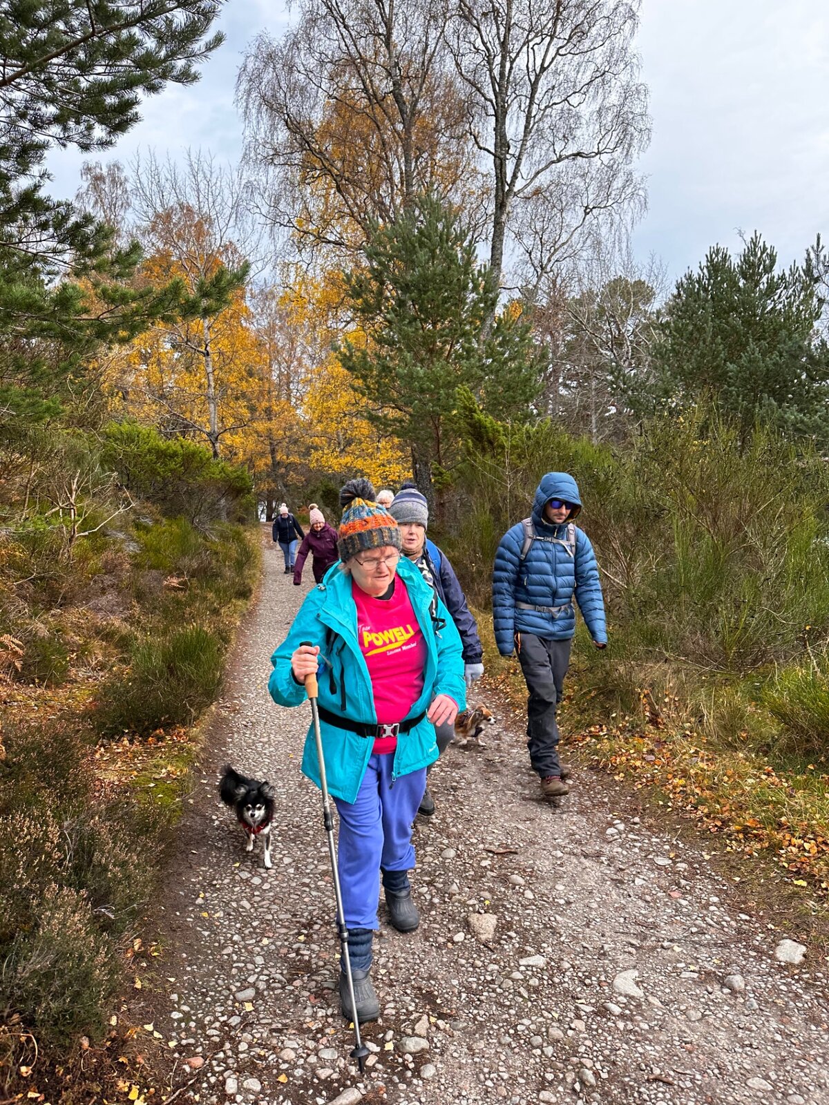 Group walking along a woodland path with autumn trees